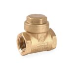 Válvula Check Swing 1/2"